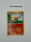 Arcanine