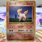 Ponyta