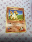 Ponyta