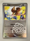 Pidgey