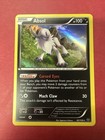Absol