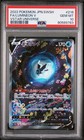 Lumineon V