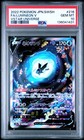 Lumineon V