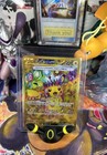 Pikachu Ex