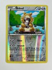 Bidoof