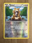 Bidoof