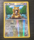 Bidoof