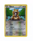 Bidoof