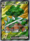 Torterra ex