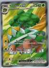 Torterra ex