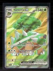 Torterra ex