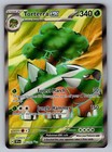 Torterra ex
