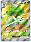 Torterra ex
