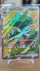 Torterra ex