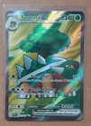 Torterra ex
