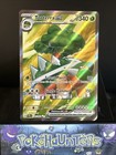 Torterra ex