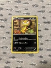 Scraggy