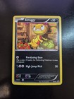 Scraggy