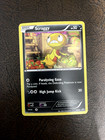 Scraggy