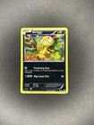 Scraggy