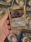 Tauros