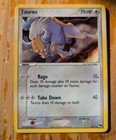 Tauros