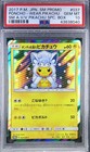 Poncho-Wearing Pikachu 