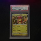Poncho-Wearing Pikachu 