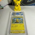 Poncho-Wearing Pikachu 