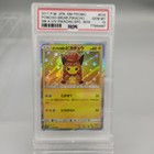 Poncho-Wearing Pikachu 