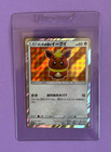Poncho-Wearing Eevee 
