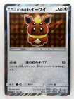 Poncho-Wearing Eevee 