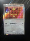 Poncho-Wearing Eevee 