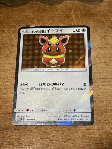 Poncho-Wearing Eevee 