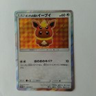 Poncho-Wearing Eevee 