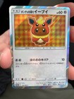 Poncho-Wearing Eevee 