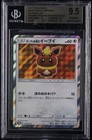 Poncho-Wearing Eevee 