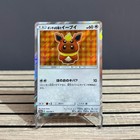 Poncho-Wearing Eevee 