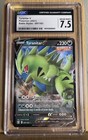 Tyranitar V
