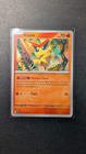 Victini
