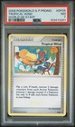 Tropical Wind