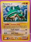 Torterra