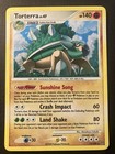 Torterra