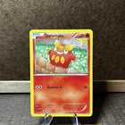 Darumaka