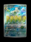 Sunflora