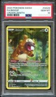 Bidoof