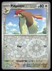 Pidgeotto