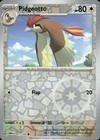 Pidgeotto