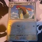 Pidgeotto