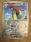 Pidgeotto